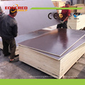 Brown Film Faced Plywood